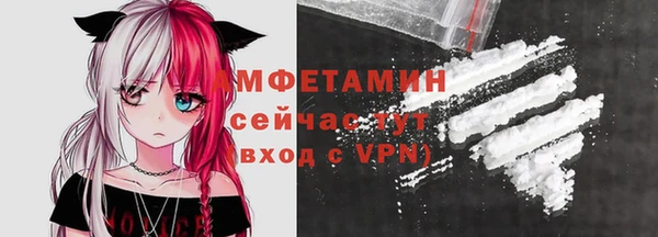 spice Богородицк