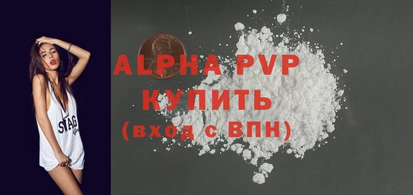 spice Богородицк