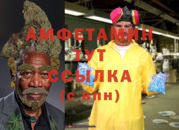 spice Богородицк