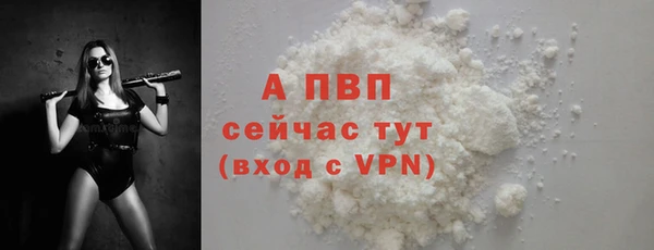 spice Богородицк