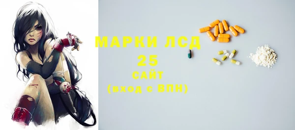 spice Богородицк