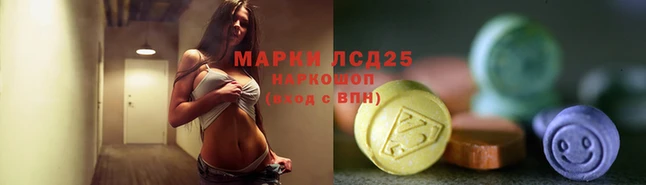 spice Богородицк
