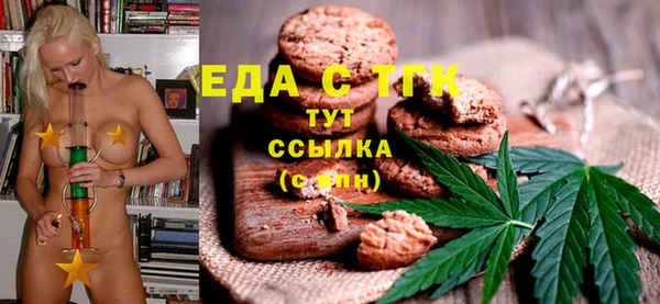 spice Богородицк