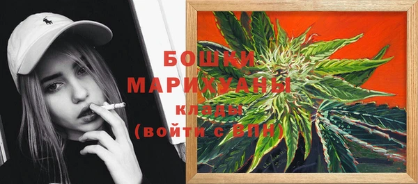 spice Богородицк