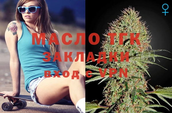 spice Богородицк