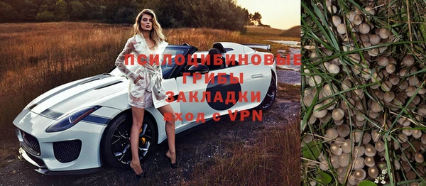 spice Богородицк